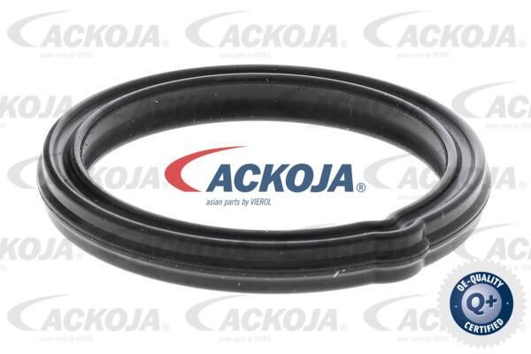 Купити Ackoja A52-99-0016 за низькою ціною в Польщі!