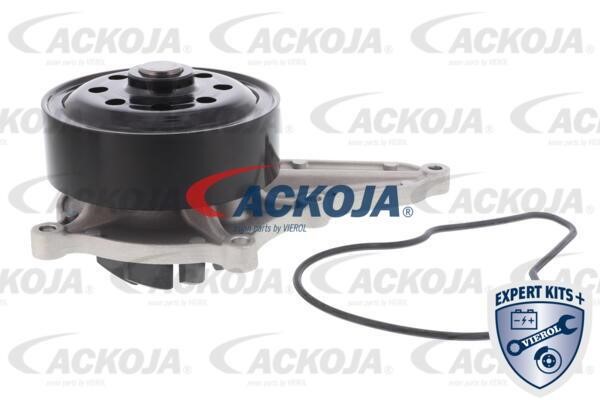 Ackoja A26-0702 Water pump A260702: Buy near me in Poland at 2407.PL - Good price!