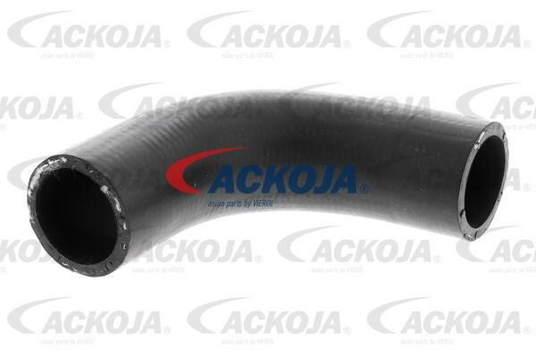 Ackoja A64-1609 Шланг радиатора A641609: Отличная цена - Купить в Польше на 2407.PL!