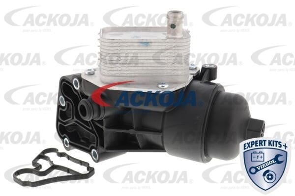 Ackoja A52-60-0011 Oil Cooler, engine oil A52600011: Buy near me in Poland at 2407.PL - Good price!