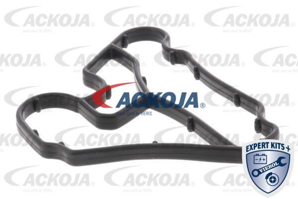 Kaufen Sie Ackoja A52-60-0011 zu einem günstigen Preis in Polen!