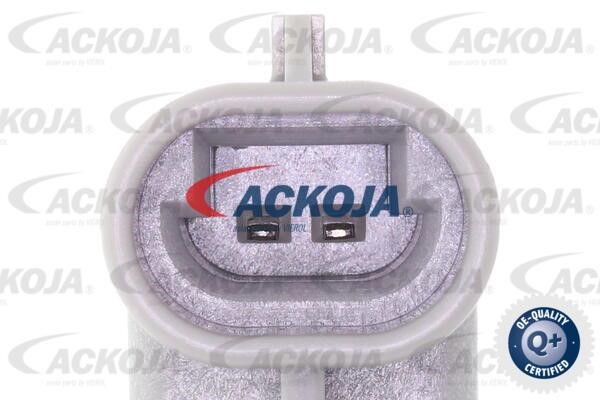 Kup Ackoja A53-0125 w niskiej cenie w Polsce!