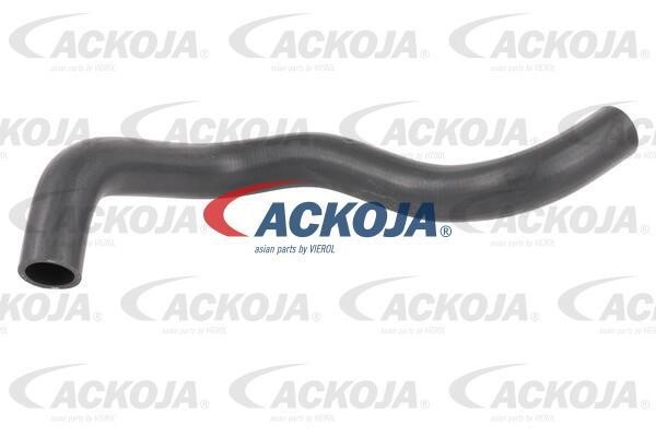 Ackoja A26-1605 Radiator hose A261605: Buy near me in Poland at 2407.PL - Good price!