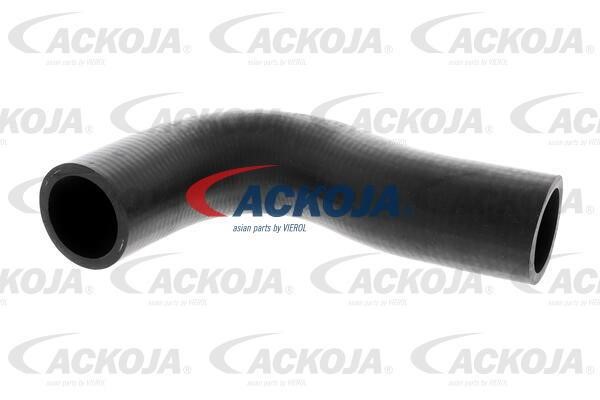 Ackoja A51-1602 Radiator hose A511602: Buy near me in Poland at 2407.PL - Good price!