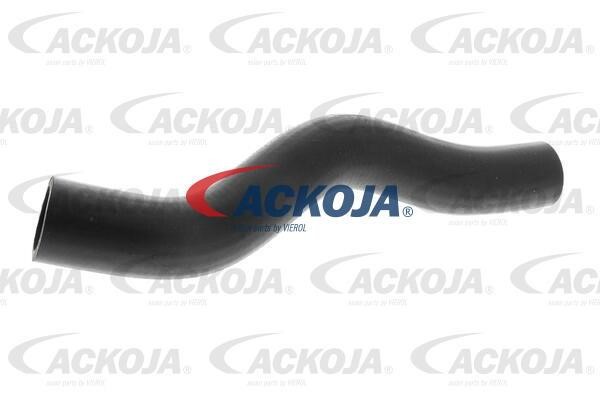 Ackoja A26-1601 Radiator hose A261601: Buy near me in Poland at 2407.PL - Good price!