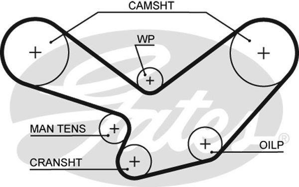 Gates T109 Timing belt T109: Buy near me in Poland at 2407.PL - Good price!