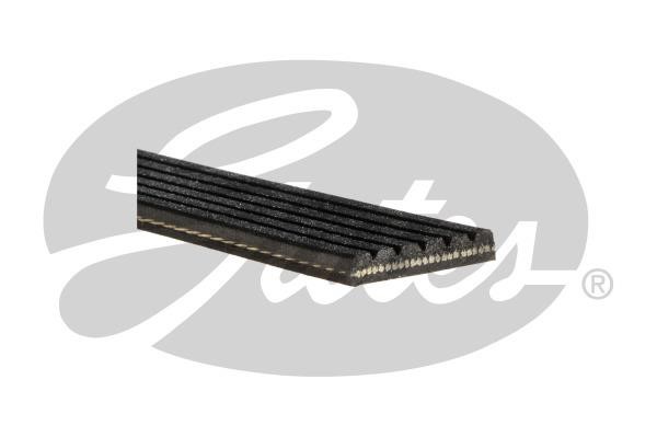 Gates 6PK2415RPM V-Ribbed Belt 6PK2415RPM: Buy near me at 2407.PL in Poland at an Affordable price!