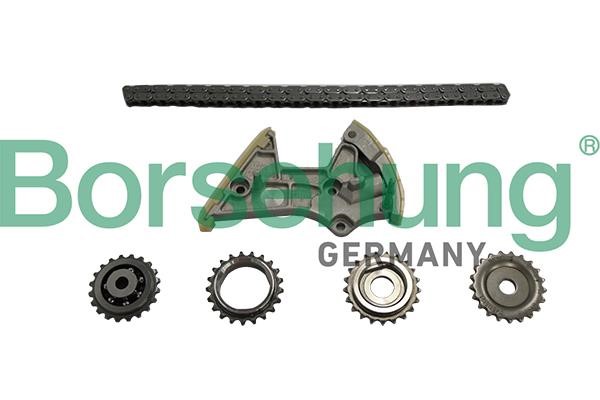 Borsehung B18848 Timing chain kit B18848: Buy near me in Poland at 2407.PL - Good price!