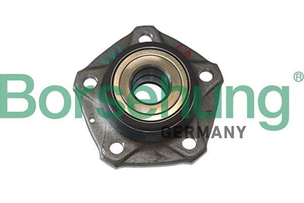 Borsehung B11286 Wheel bearing kit B11286: Buy near me in Poland at 2407.PL - Good price!