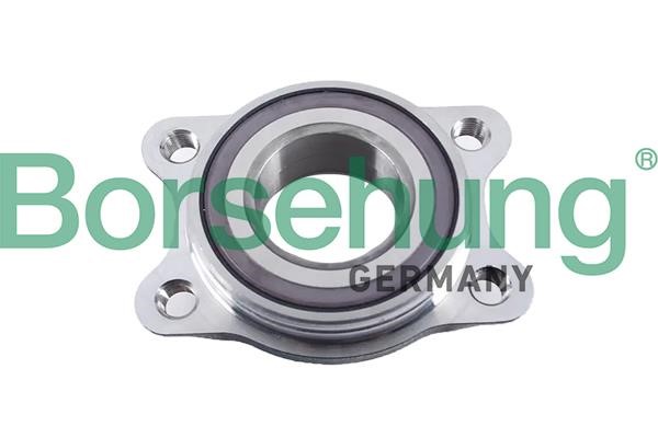 Borsehung B19058 Wheel hub bearing B19058: Buy near me in Poland at 2407.PL - Good price!