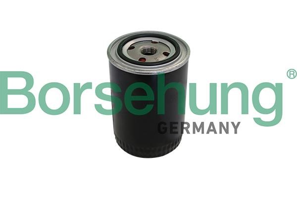 Borsehung B10431 Oil Filter B10431: Buy near me in Poland at 2407.PL - Good price!