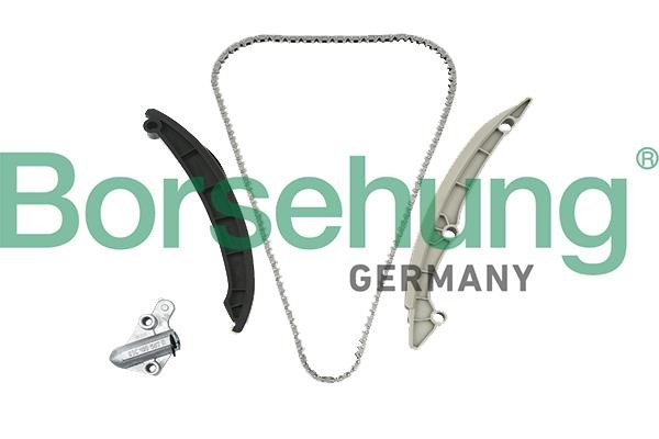 Borsehung B19257 Timing chain kit B19257: Buy near me in Poland at 2407.PL - Good price!