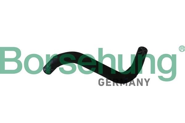 Borsehung B11986 Radiator hose B11986: Buy near me in Poland at 2407.PL - Good price!