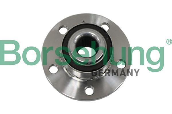 Borsehung B19117 Wheel hub bearing B19117: Buy near me in Poland at 2407.PL - Good price!