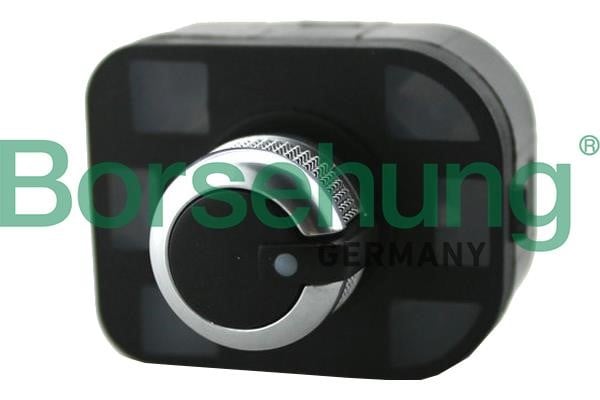 Borsehung B18883 Mirror adjustment switch B18883: Buy near me in Poland at 2407.PL - Good price!