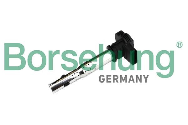 Borsehung B18972 Ignition coil B18972: Buy near me in Poland at 2407.PL - Good price!