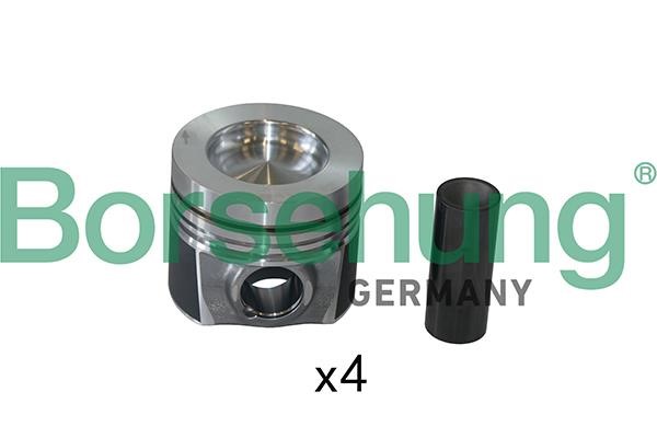 Borsehung B19301 Piston Ring Kit B19301: Buy near me at 2407.PL in Poland at an Affordable price!