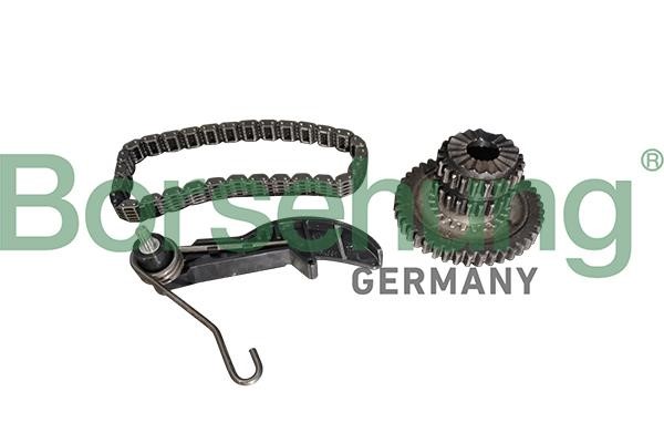 Borsehung B10218 Timing chain kit B10218: Buy near me in Poland at 2407.PL - Good price!