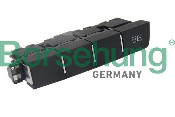 Borsehung B18900 Multi-Function Switch B18900: Buy near me in Poland at 2407.PL - Good price!
