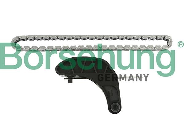 Borsehung B18851 Комплект ланцюга ГРМ B18851: Купити у Польщі - Добра ціна на 2407.PL!