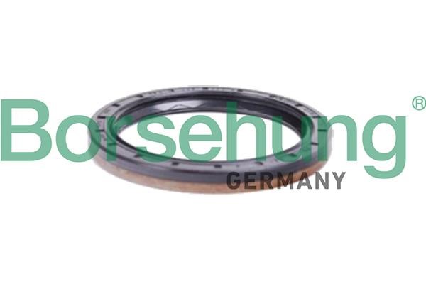 Borsehung B12197 Shaft Seal, differential B12197: Buy near me in Poland at 2407.PL - Good price!