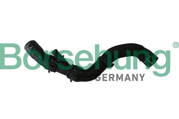 Borsehung B11965 Radiator hose B11965: Buy near me in Poland at 2407.PL - Good price!