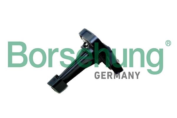 Borsehung B18974 Oil level sensor B18974: Buy near me in Poland at 2407.PL - Good price!