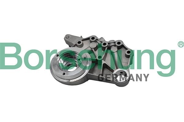 Borsehung B19307 Repair Set, camshaft bearing bracket B19307: Buy near me in Poland at 2407.PL - Good price!
