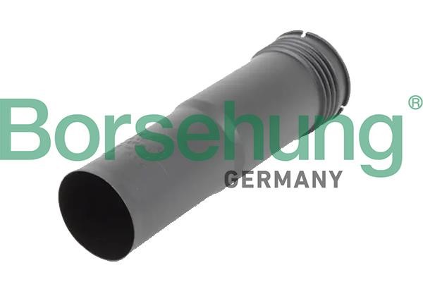Borsehung B19168 Shock absorber boot B19168: Buy near me in Poland at 2407.PL - Good price!