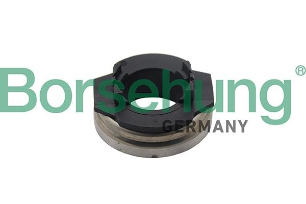 Borsehung B19279 Clutch Release Bearing B19279: Buy near me in Poland at 2407.PL - Good price!