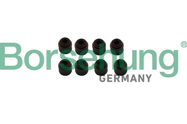Borsehung B19240 Valve oil seals, kit B19240: Buy near me in Poland at 2407.PL - Good price!