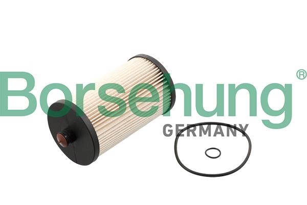 Borsehung B10522 Fuel filter B10522: Buy near me in Poland at 2407.PL - Good price!