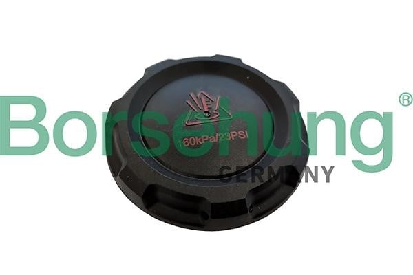 Borsehung B12203 Radiator caps B12203: Buy near me at 2407.PL in Poland at an Affordable price!