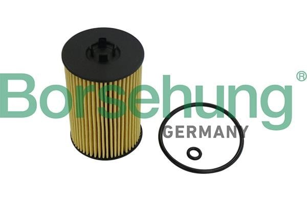 Borsehung B10532 Масляный фильтр B10532: Купить в Польше - Отличная цена на 2407.PL!