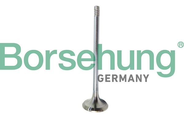 Borsehung B10321 Exhaust valve B10321: Buy near me in Poland at 2407.PL - Good price!