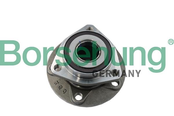 Borsehung B19118 Wheel hub bearing B19118: Buy near me in Poland at 2407.PL - Good price!