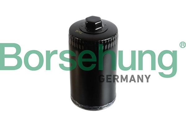 Borsehung B10434 Oil Filter B10434: Buy near me in Poland at 2407.PL - Good price!