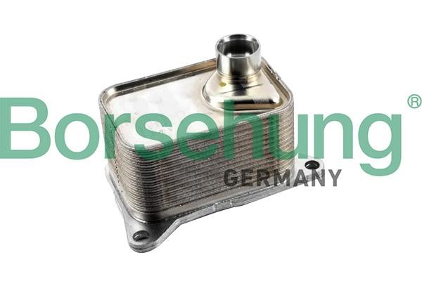Borsehung B10877 Oil cooler B10877: Buy near me in Poland at 2407.PL - Good price!