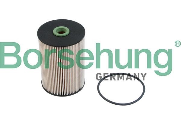 Borsehung B12214 Fuel filter B12214: Buy near me at 2407.PL in Poland at an Affordable price!