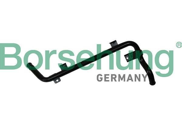 Borsehung B19266 Hose, crankcase breather B19266: Buy near me in Poland at 2407.PL - Good price!