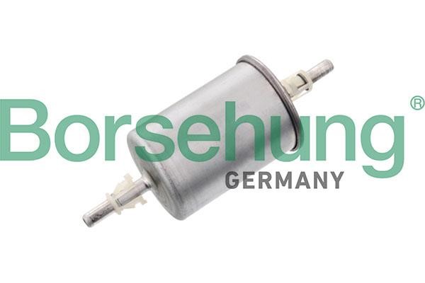 Borsehung B10483 Fuel filter B10483: Buy near me in Poland at 2407.PL - Good price!
