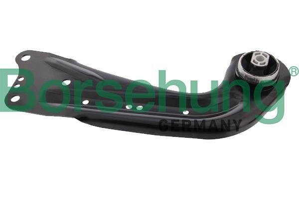 Borsehung B19139 Track Control Arm B19139: Buy near me in Poland at 2407.PL - Good price!