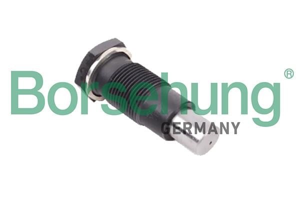 Borsehung B1T005 Timing Chain Tensioner B1T005: Buy near me in Poland at 2407.PL - Good price!