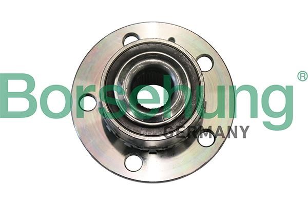 Borsehung B19285 Wheel bearing kit B19285: Buy near me in Poland at 2407.PL - Good price!