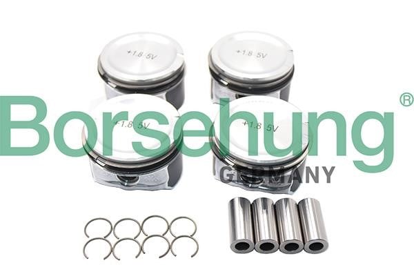 Borsehung B18670 Piston B18670: Buy near me in Poland at 2407.PL - Good price!