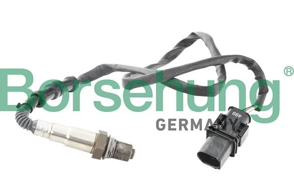 Borsehung B18924 Lambda Sensor B18924: Buy near me in Poland at 2407.PL - Good price!