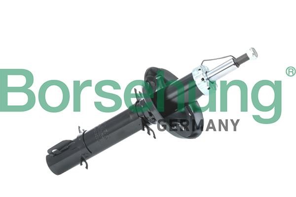 Borsehung B18687 Front oil and gas suspension shock absorber B18687: Buy near me in Poland at 2407.PL - Good price!