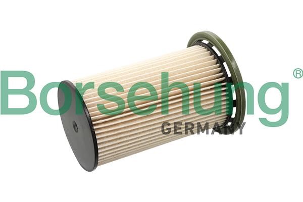Borsehung B10521 Fuel filter B10521: Buy near me in Poland at 2407.PL - Good price!