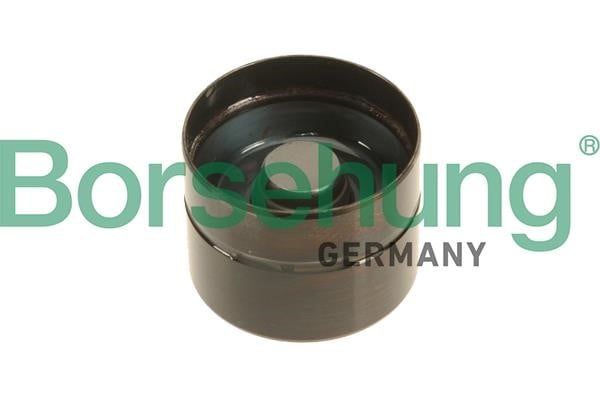 Borsehung B18838 Lifter-valve B18838: Buy near me in Poland at 2407.PL - Good price!
