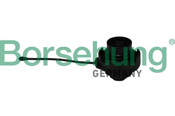 Borsehung B18790 Fuel Door Assembly B18790: Buy near me at 2407.PL in Poland at an Affordable price!